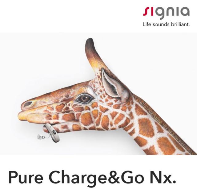 Hörgerät Signia Pure Charge and Go Nx